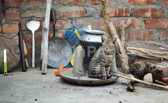 A cat warms herself from a famer's a clay stove