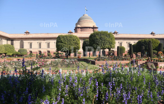 Amrit Udyan or Mughal Gardens  at President House 