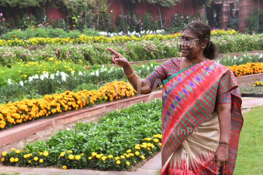 Amrit Udyan or Mughal Gardens  at President House 