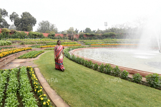 Amrit Udyan or Mughal Gardens  at President House 