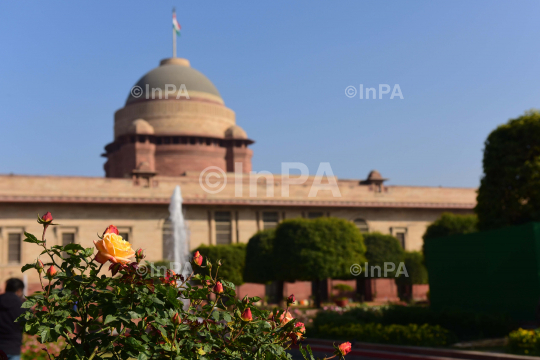 Amrit Udyan or Mughal Gardens