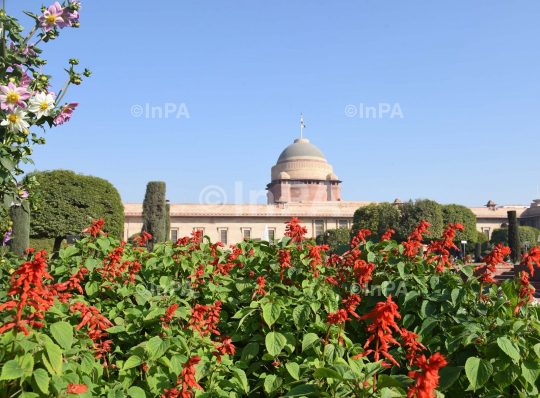 Amrit Udyan or Mughal Gardens