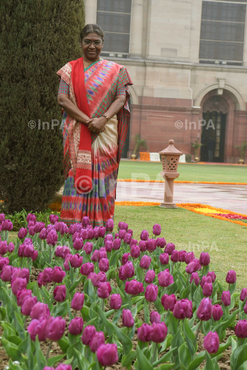 Amrit Udyan or Mughal Gardens