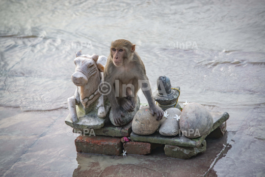 Ayodhya, Ram Mandir