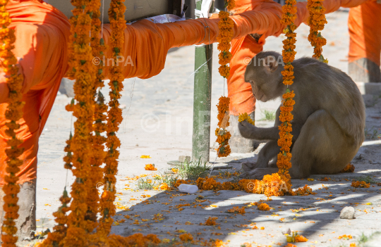 Ayodhya, Ram Mandir