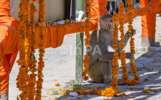 Ayodhya, Ram Mandir