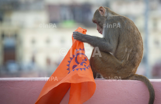 Ayodhya, Ram Mandir