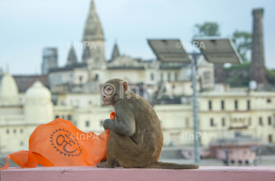 Ayodhya, Ram Mandir