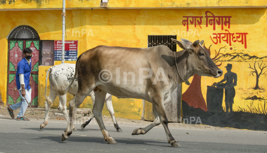 Ayodhya, Ram Mandir