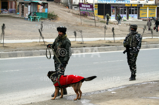 Bharat Jodo Yatra in Pulwama