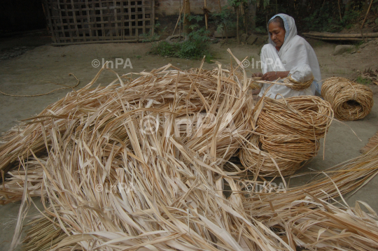 Bihu Festival