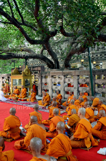 bodhgaya