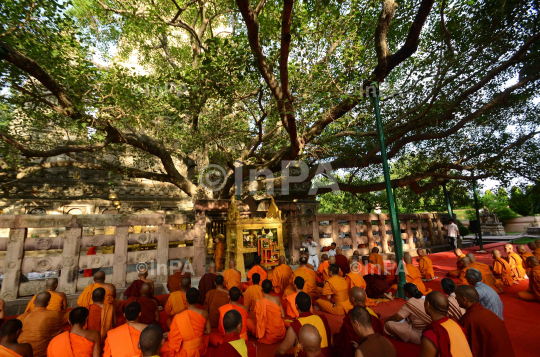 bodhgaya