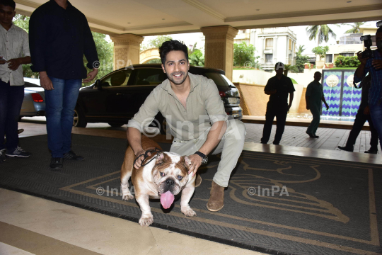 Bollywood actor Varun Dhawan