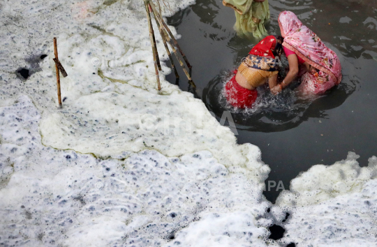 Chhath Puja festival