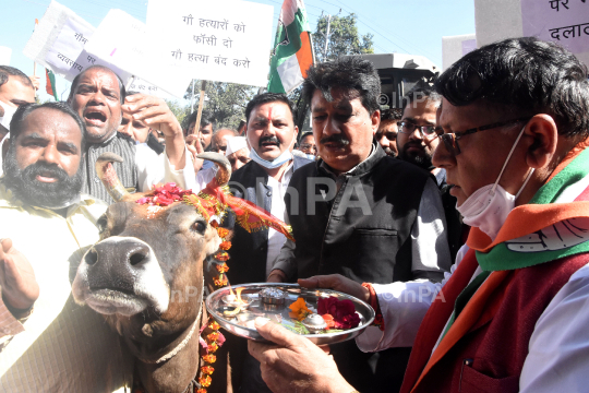 Congress protest in Bhopal