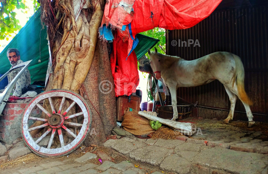 COVID-19: No band, baja with Baraat