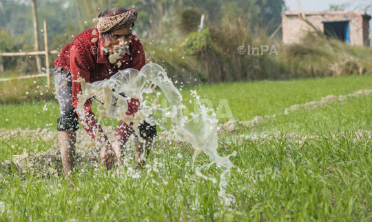 Daily Life of farmers