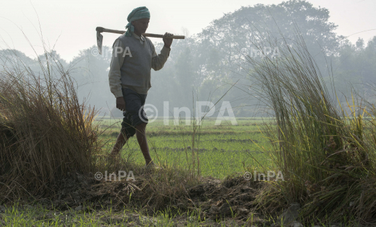 Daily Life of farmers