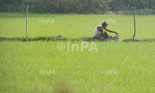 Daily Life of farmers