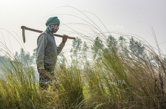 Daily Life of farmers