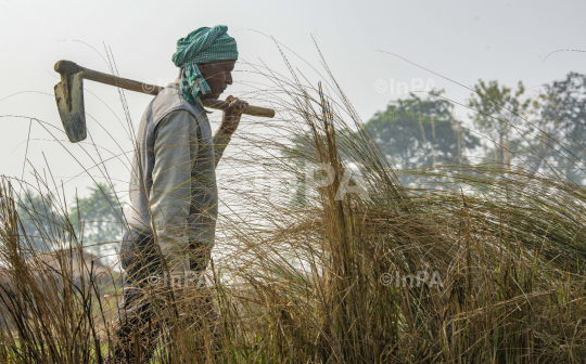 Daily Life of farmers