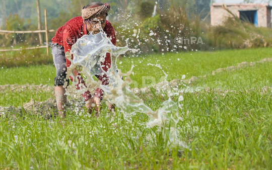 Daily Life of farmers