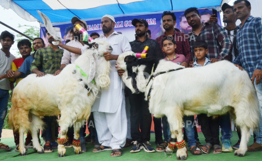 Eid al-Adha Festival