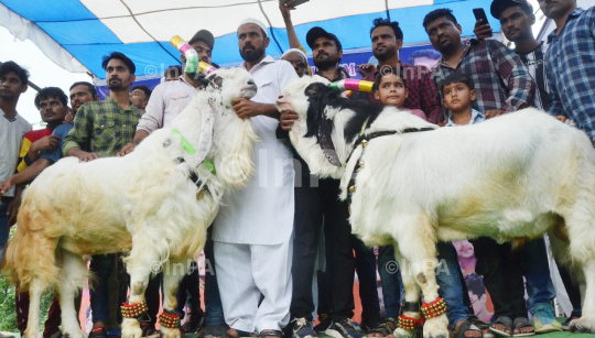 Eid al-Adha Festival
