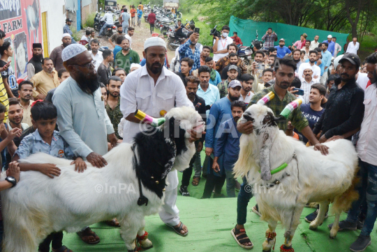 Eid al-Adha Festival