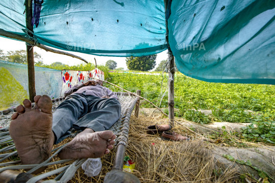 Farmer's life