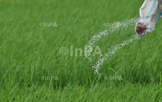 Farming in Northeast