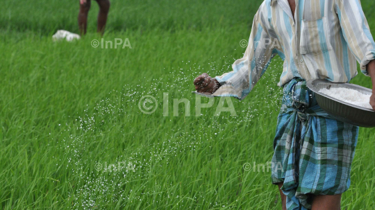 Farming in Northeast