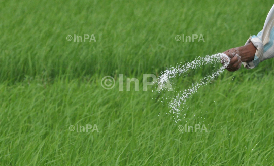 Farming in Northeast