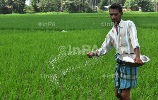 Farming in Northeast