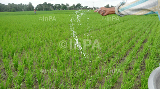 Farming in Northeast