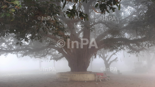 Fog, Winter weather