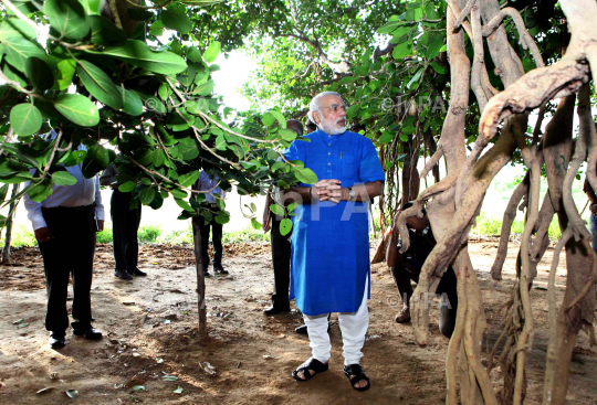 Gujarat Chief Minister Narendra Modi