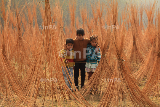 India Kashmir economy labour