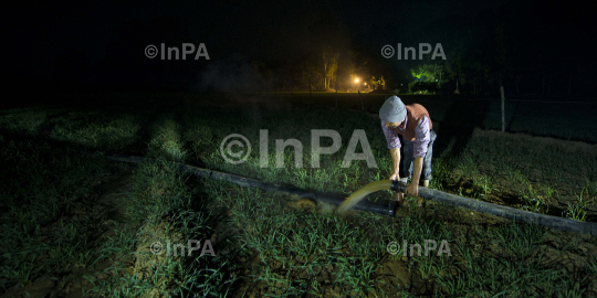 Indian Farmers life