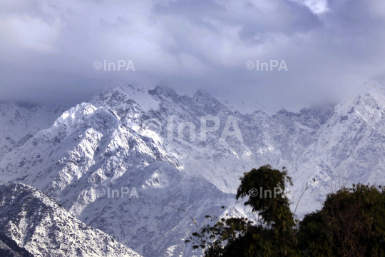 INPA1801122