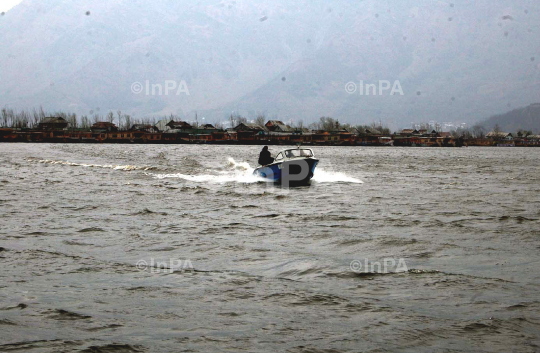 INPA20031211