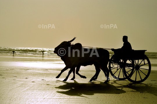 INPA21031248