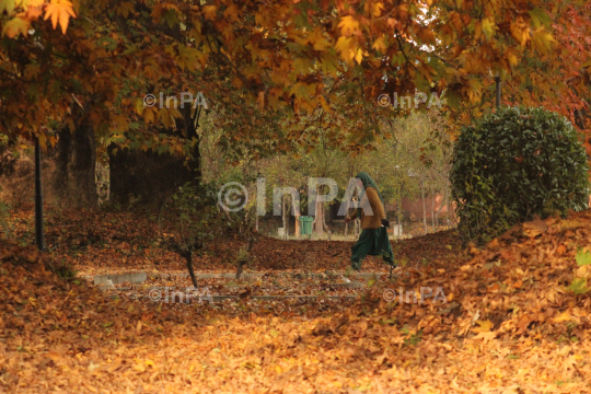 Kashmiri women walk in Mughal garden at South Kashmir