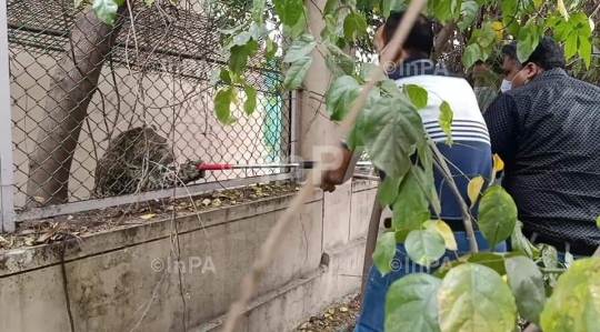 Man Vs Wild: Leopard attacks in Jammu, India