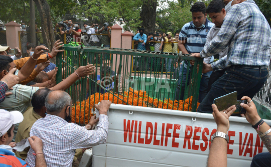 Man Vs Wild: Leopard attacks in Jammu, India