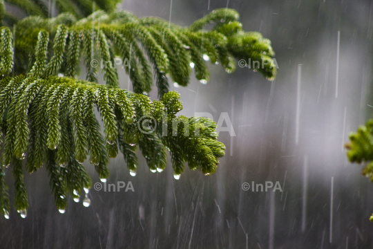 Monsoon 2021: Moderate to heavy rains lash parts of Delhi-NCR