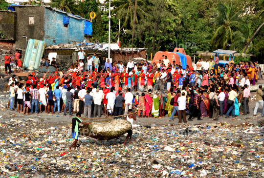 Narali Purnima