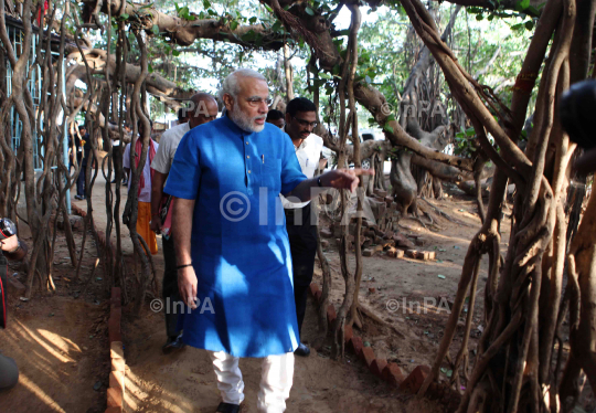 Narendra Modi visited the auspicious 500 year old Banyan Tree