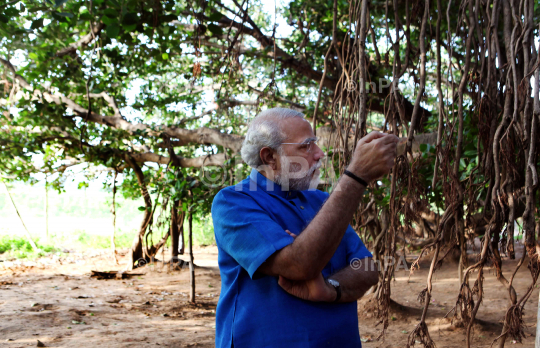 Narendra Modi visited the auspicious 500 year old Banyan Tree